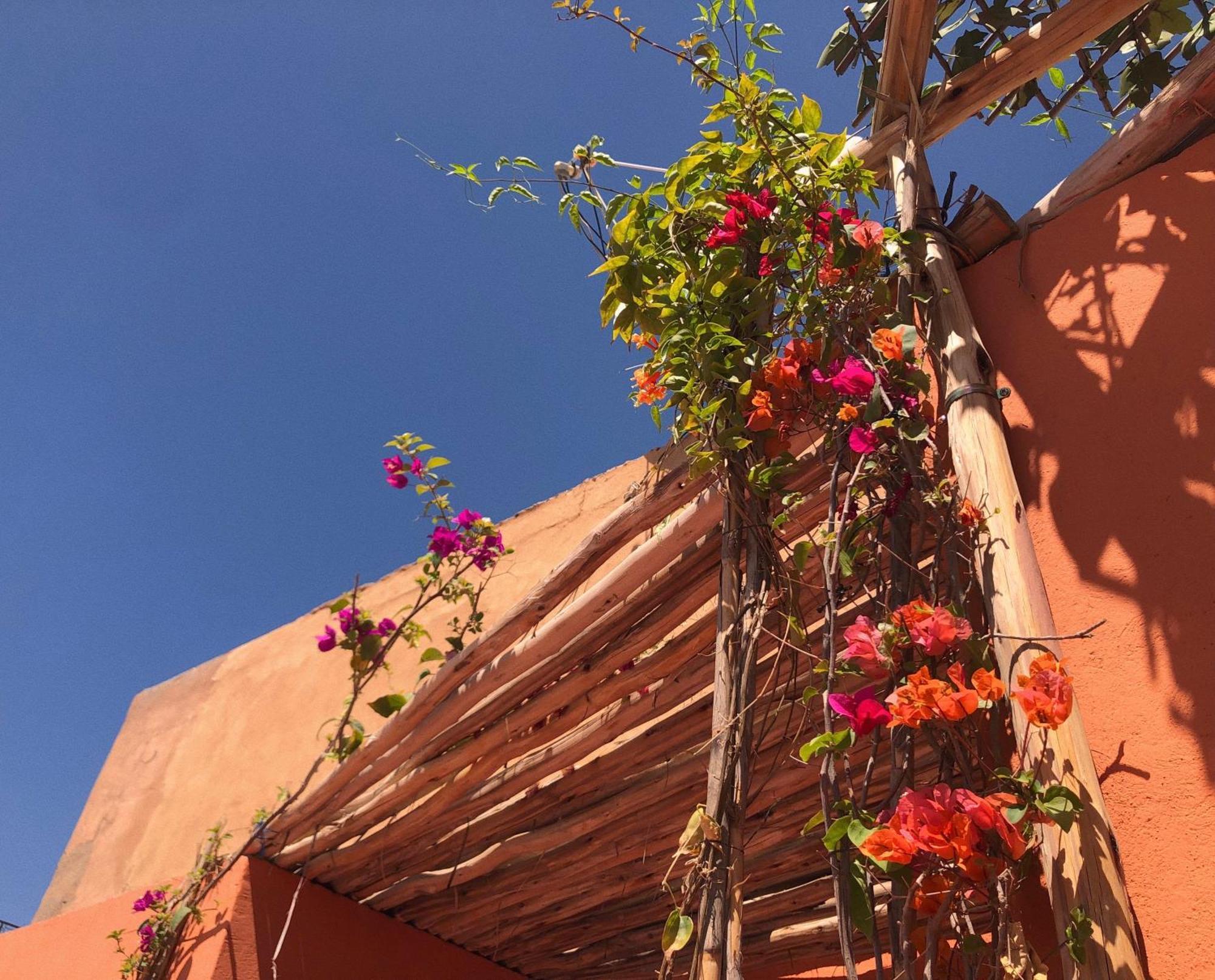 Riad Imndi マラケシュ エクステリア 写真